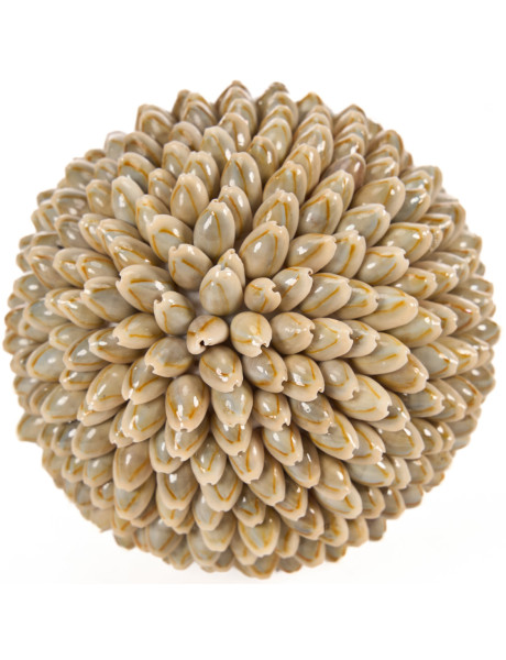 Boule décorative beige en coquillages naturels 13 x 13 x 13 cm The Oluolu