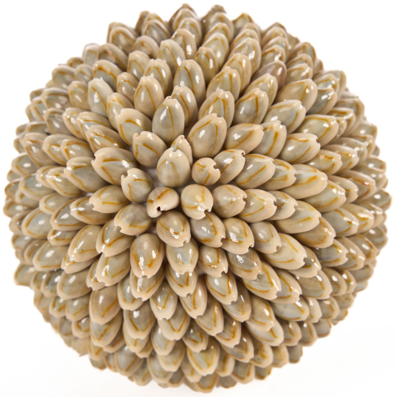Boule décorative beige en coquillages...