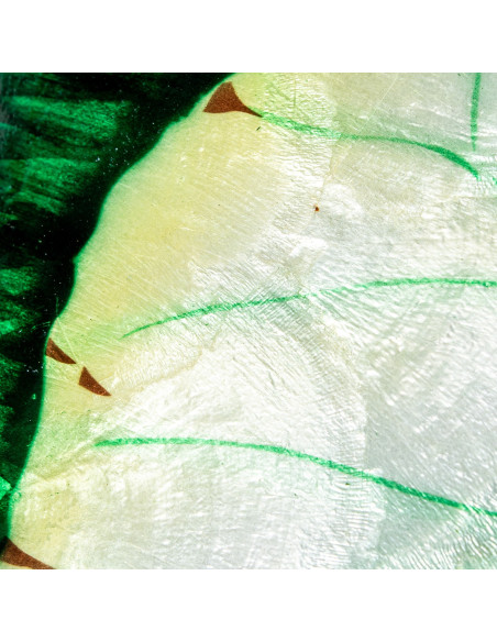 Décoration murale papillon métal et nacre verte 45 cm Mariposa