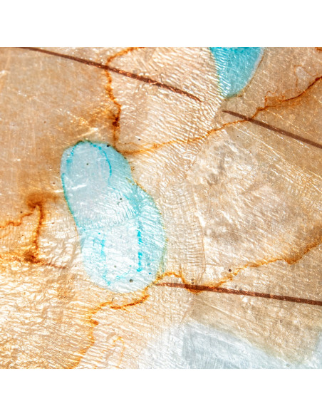 Décoration murale papillon métal et nacre bleu doré 45 cm Mariposa