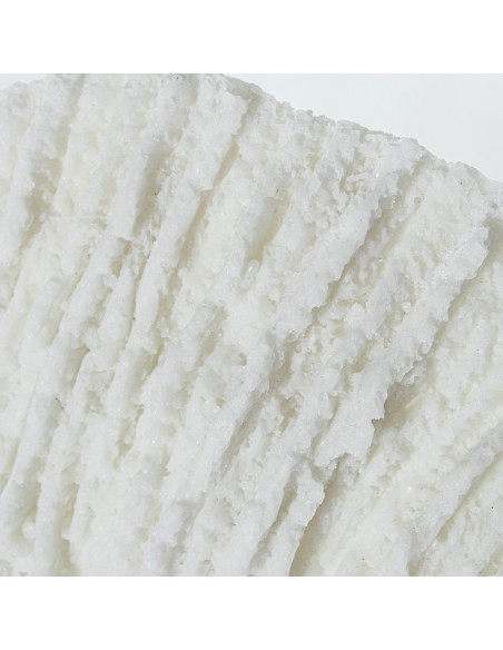 Décoration murale corail blanc en résine Ø49,5x8 cm Ondaria