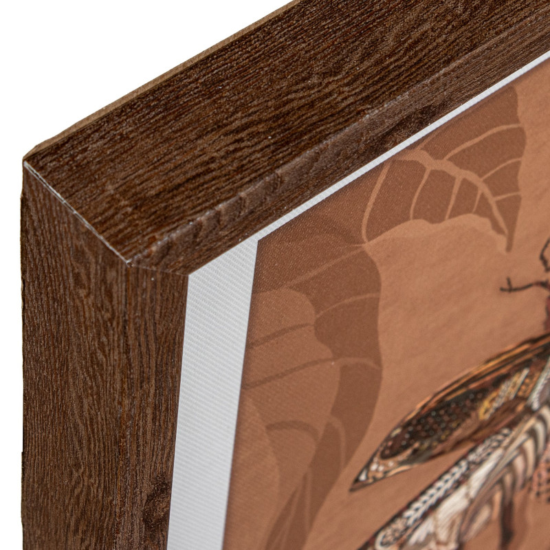 Lot de 3 tableaux insectes terracotta...
