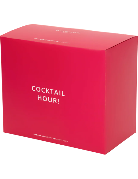 Lot de 2 verres à martini en coffret Cocktail Hour !