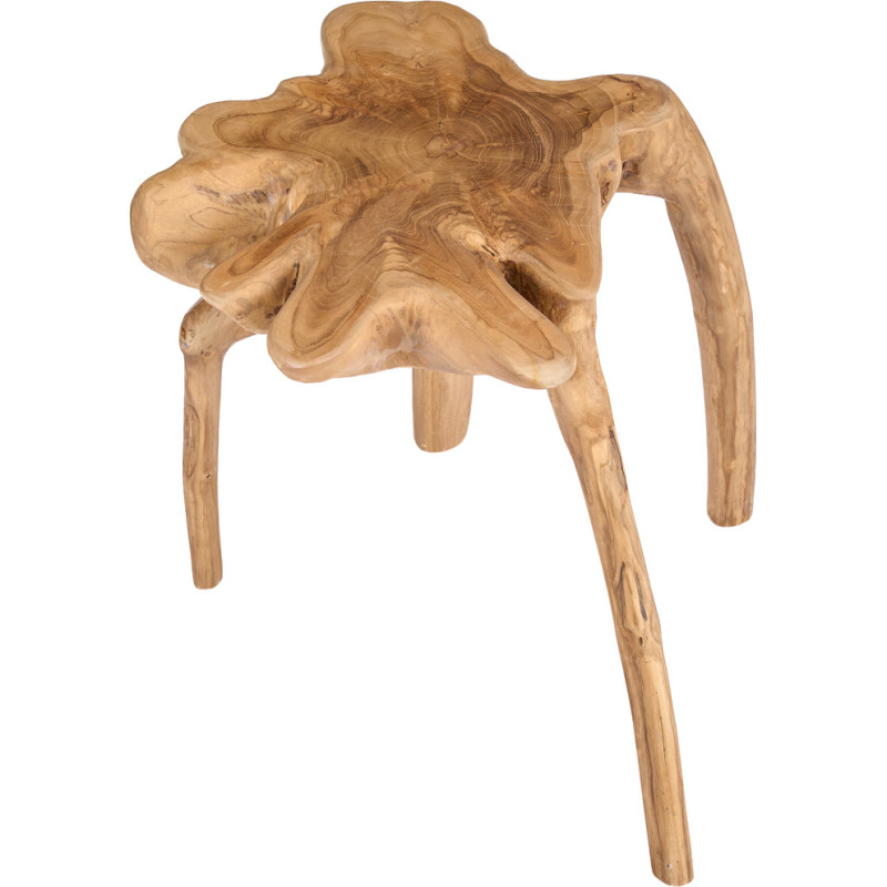Table d’appoint racine de teck...