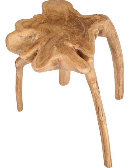 Table d’appoint racine de teck naturelle 45x45x45 cm The Rooty