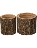 Lot de 2 cache-pots tronc d’arbre en paulownia Soglio