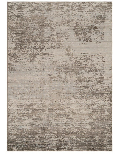 Grand tapis viscose gris effet vieilli 200x300 cm Bagnoregio Ixia - 1