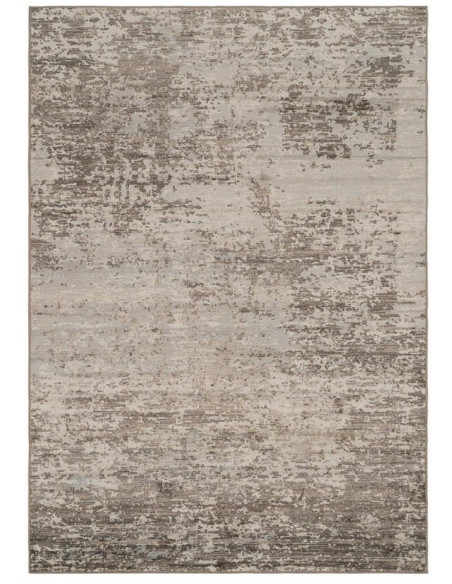 Grand tapis viscose gris effet vieilli 200x300 cm Bagnoregio Ixia - 1