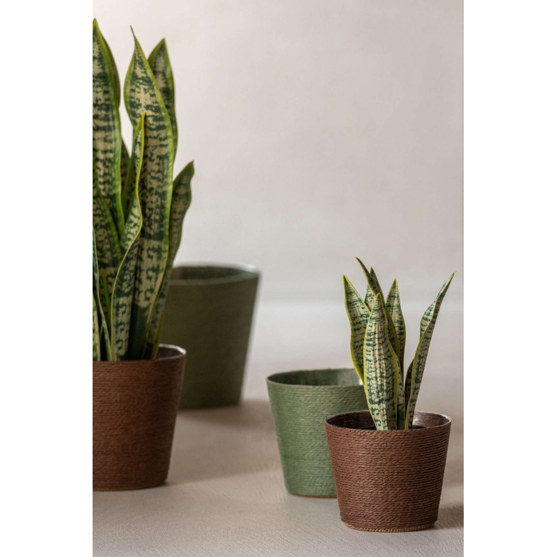 Lot de 2 cache-pots papier PET vert marron 13,5 cm Bucaco J-Line - 2