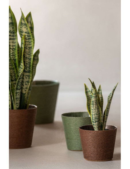 Lot de 2 cache-pots papier PET vert marron 17,5 cm Bucaco J-Line - 2