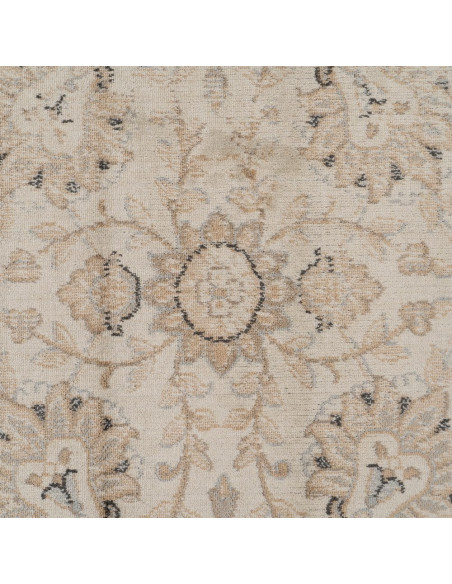 Grand tapis vintage beige 200x300 cm Ampudia Ixia - 6