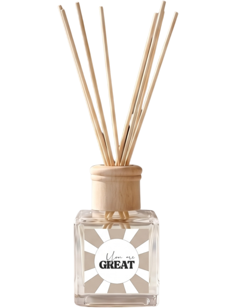 Diffuseur de parfum à bâtonnets linge frais 100 ml You are Great Housevitamin - 1