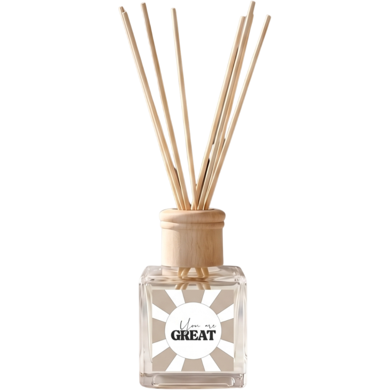 Diffuseur de parfum à bâtonnets linge frais 100 ml You are Great Housevitamin - 1