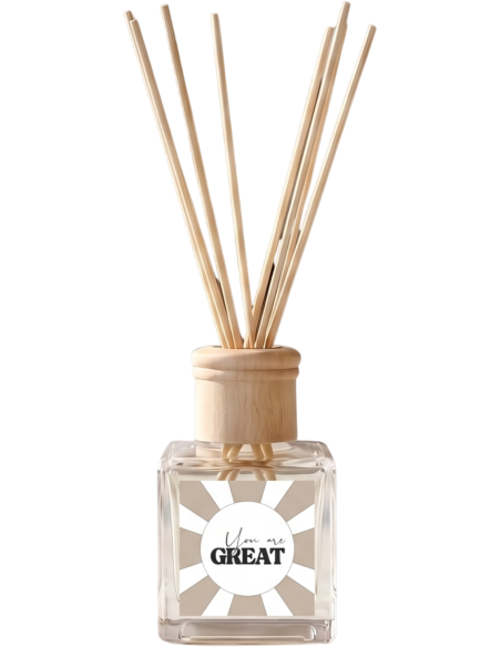 Diffuseur de parfum à bâtonnets linge frais 100 ml You are Great Housevitamin - 1