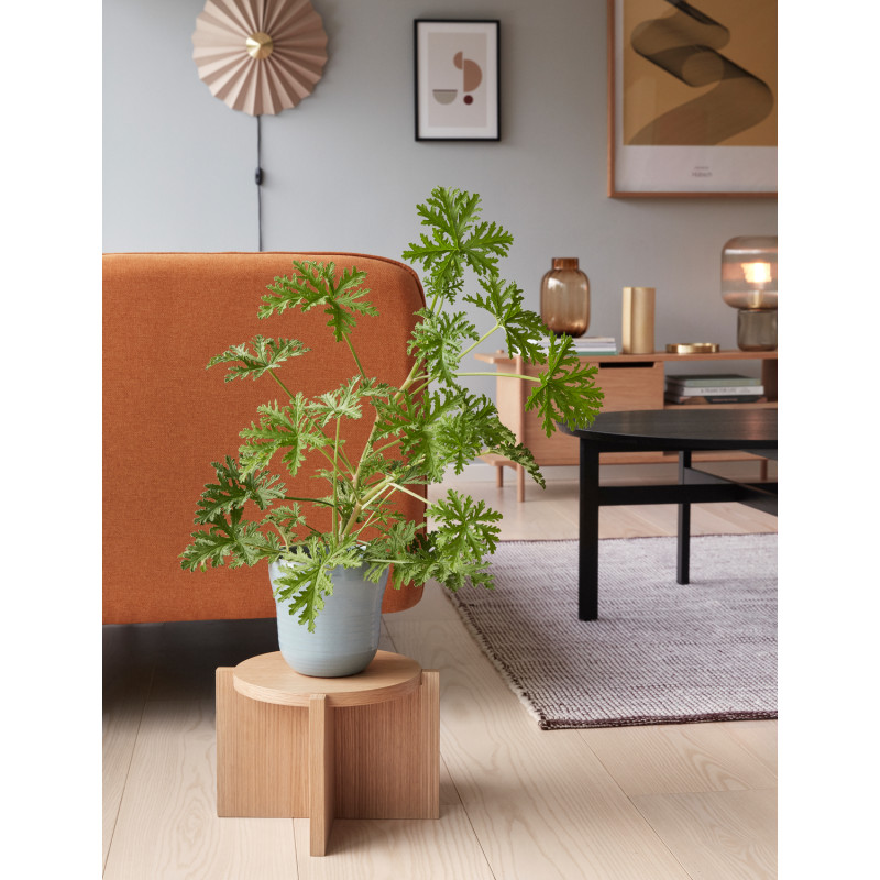 Porte-plante bas bois naturel Ø30x20 cm Nomad Hübsch - 2