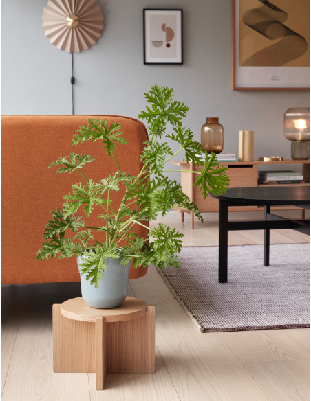 Porte-plante bas bois naturel Ø30x20 cm Nomad Hübsch - 2