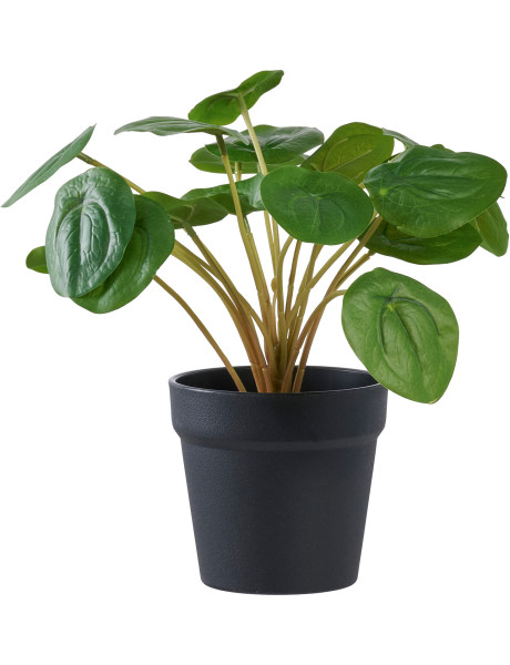 Plante artificielle Pilea en pot noir 28 cm Dali House Nordic - 1