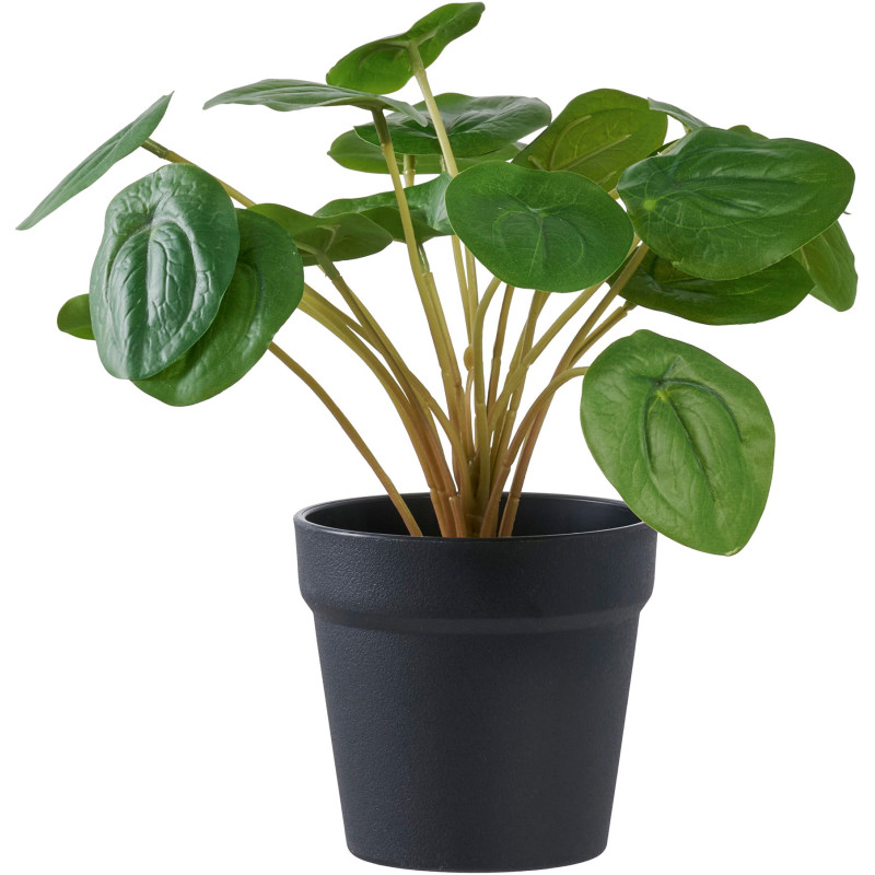 Plante artificielle Pilea en pot noir 28 cm Dali House Nordic - 1