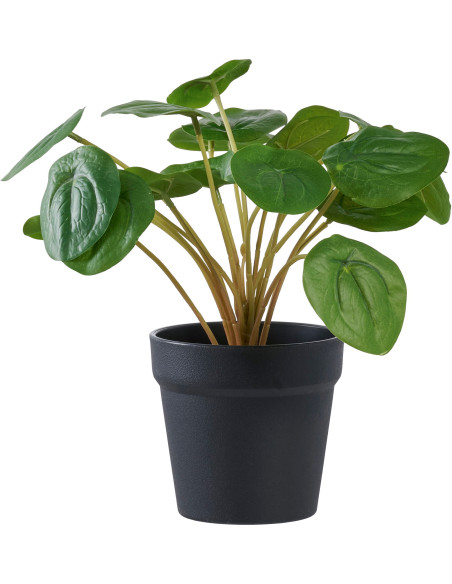 Plante artificielle Pilea en pot noir 28 cm Dali House Nordic - 1