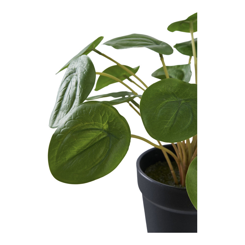 Plante artificielle Pilea en pot noir 28 cm Dali House Nordic - 3