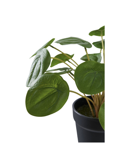 Plante artificielle Pilea en pot noir 28 cm Dali House Nordic - 3