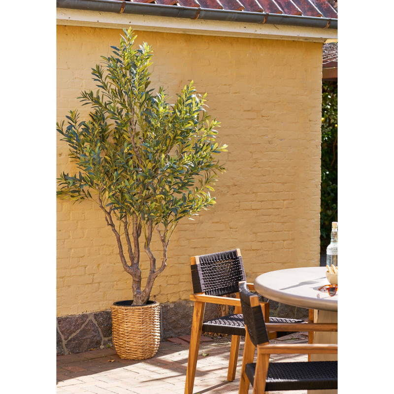 Olivier artificiel en pot 220 cm Nyons House Nordic - 3