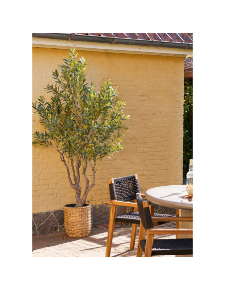Olivier artificiel en pot 220 cm Nyons House Nordic - 3