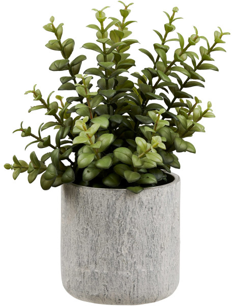 Plante grasse artificielle verte en pot ciment 23x24x33,5 cm Ivrely House Nordic - 1
