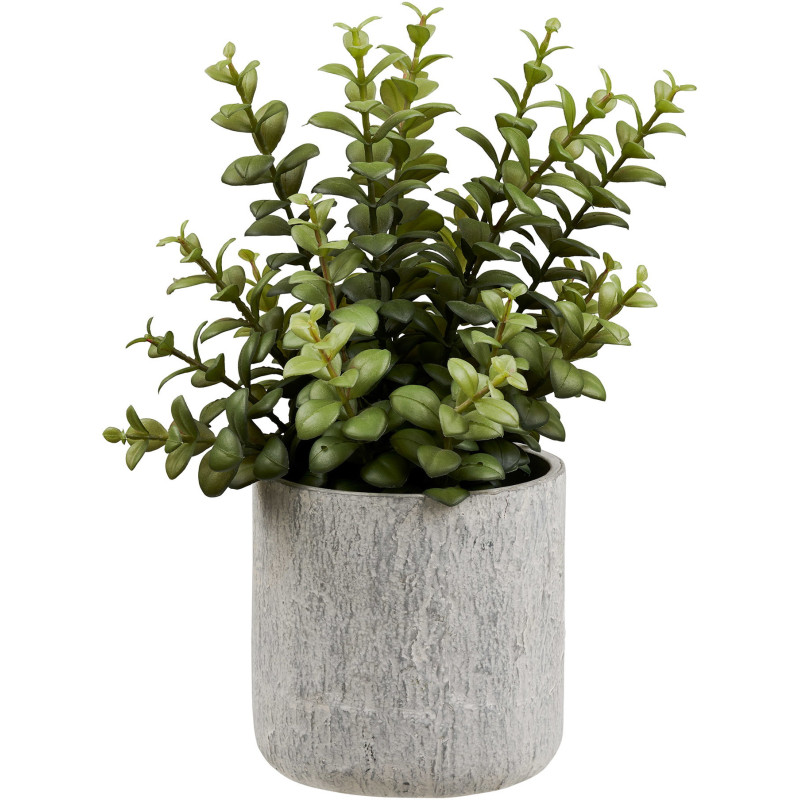 Plante grasse artificielle verte en pot ciment 23x24x33,5 cm Ivrely House Nordic - 1