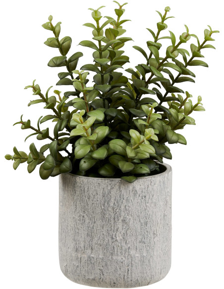 Plante grasse artificielle verte en pot ciment 23x24x33,5 cm Ivrely House Nordic - 1
