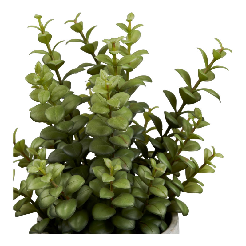 Plante grasse artificielle verte en pot ciment 23x24x33,5 cm Ivrely House Nordic - 3