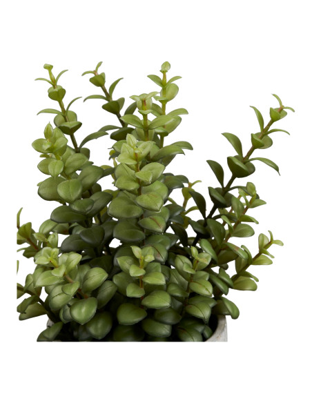 Plante grasse artificielle verte en pot ciment 23x24x33,5 cm Ivrely House Nordic - 3