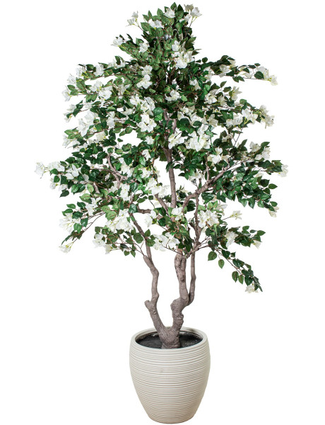 Bougainvillier artificiel blanc en pot 220 cm Lyeysa  - 1