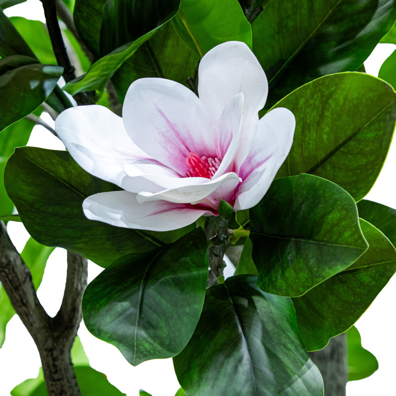 Magnolia artificiel géant 350 cm Aevyna  - 3