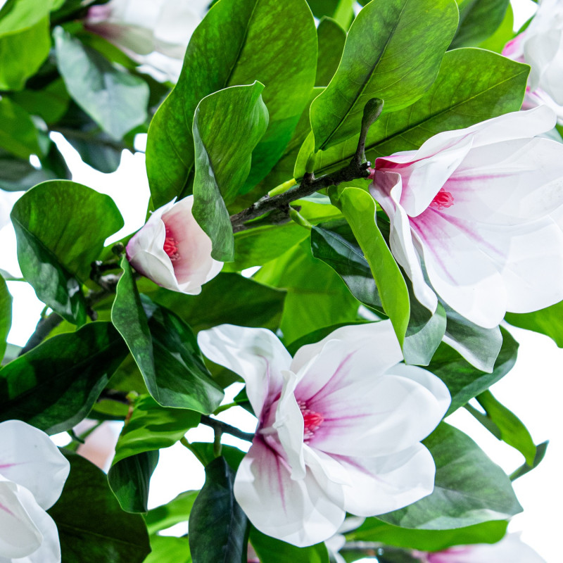 Magnolia artificiel géant 350 cm Aevyna  - 5