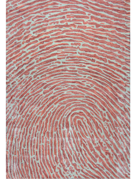 Grand tapis en mélange de laine terracotta 300x200 cm Thumbs Up  - 1