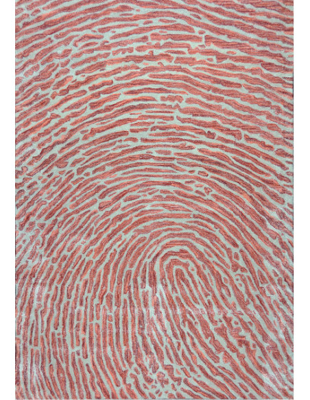 Grand tapis en mélange de laine terracotta 300x200 cm Thumbs Up  - 1