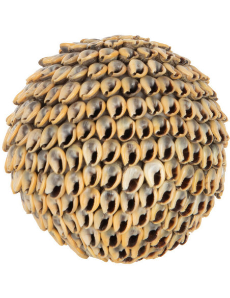 Boule décorative Sando Hauteur 8 cm en Coquillage Naturel - 1