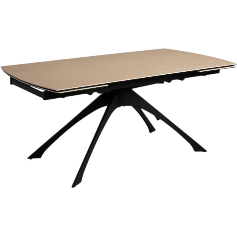 Grande Table extensible moderne Rectangulaire 12 personnes Céramique – Histoires Singulières
